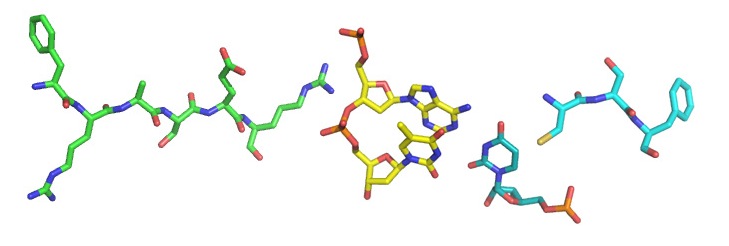 Fraser at UCSF, in molecular form